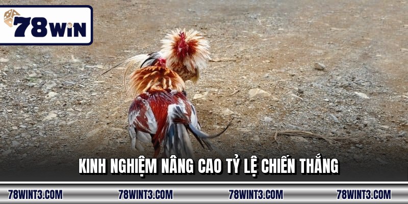 Kinh nghiệm nâng cao tỷ lệ chiến thắng